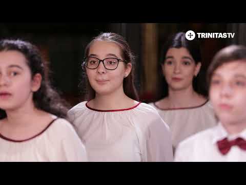 Corul de Copii Radio - La Vitleem colo-n jos