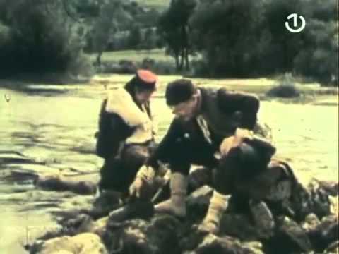 Osma ofanziva - B Copic