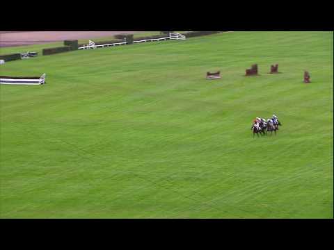 PE, 8. 10. 2017, 7. dostih - Poplerův memoriál skupiny Profireal Group