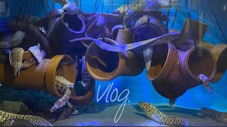 GWに小さな旅をしました。(Vlog.)