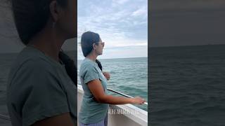 Cruising the Ocean to Find Pods of Dolphins 🌊