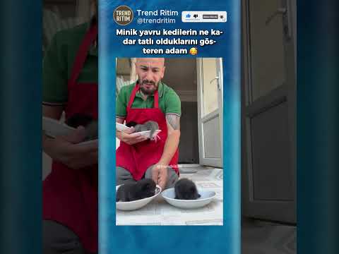 Minik Yavru Kedilerin Sevimliliğini Göstermek İsteyen Adam 🤣🥰