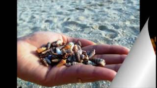 Tutti cercano qualcosa - Fiorella Mannoia