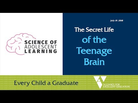 The Secret Life of the Teenage Brain