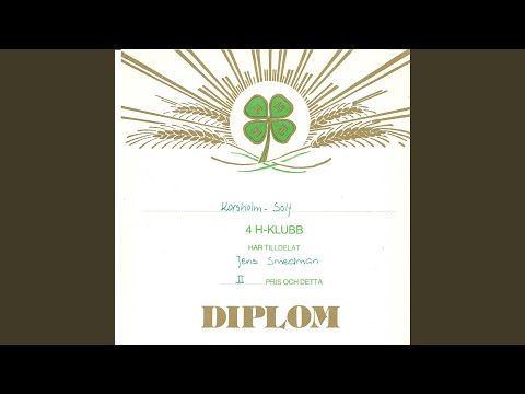 Som in treno på grillin