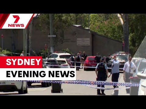 Daylight shooting in Sydney's west; Swiss boyfriend's bravery during shark attack | 7NEWS Sydney