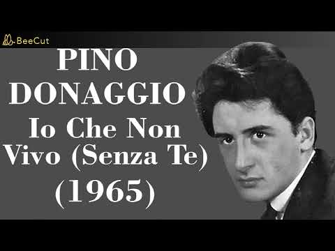 yo que no vivo sin ti en italiano                 Pino Donaggio