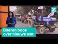 Waarom de boeren in India al maanden demonstreren • Z zoekt uit