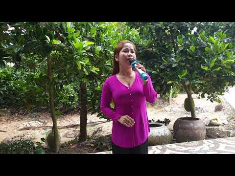 Giọng ca dỉ vãng. 12câu phụng hoàng. Tb; Ngọc Tuyết.