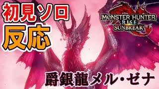 【初見ソロ】メル・ゼナ VS 自称:弓のプロの反応【モンハンサンブレイク】