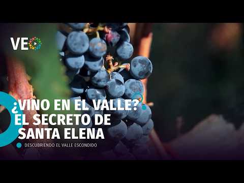 La Despensa del Valle: Abejas, Cacao y el Vino de Santa Elena | Descubriendo El Valle Escondido #19