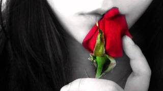 Cinderella Story - Plain White T&#39;s (com tradução)