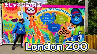 【ロンドン】ヨーロッパのおしゃれすぎる動物園🦁