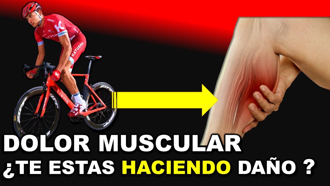 FATIGA MUSCULAR y SOBREENTRENAMIENTO LO QUE DEBES SABER │Salud Ciclista
