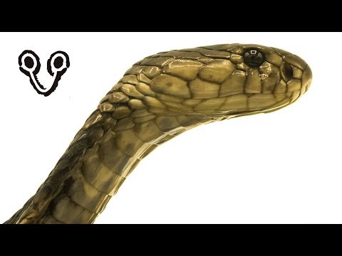 Sakaerat Najas Project- Who are we?  (subtitles in 14 languages)