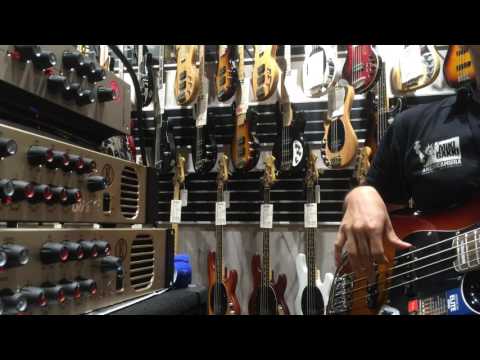 EDEN TERRANOVA & FENDER ELITE JB