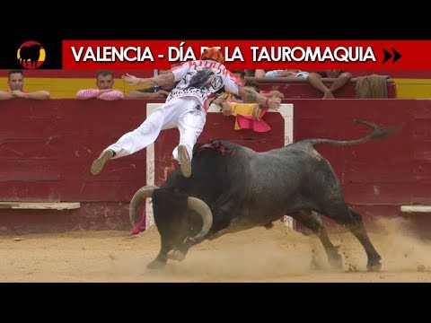 VALENCIA - LEYENDAS Y RECORTADORES CON TOROS DE DIFERENTES GANADERÍAS
