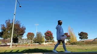 Download lagu Learn to Meow - Xiao Feng Feng & Xiao Pan Pan mp3