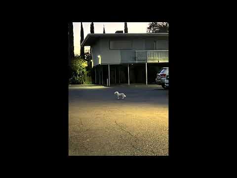 $coonie Zac - I Don’t Blame Them (Prod by Philipz)