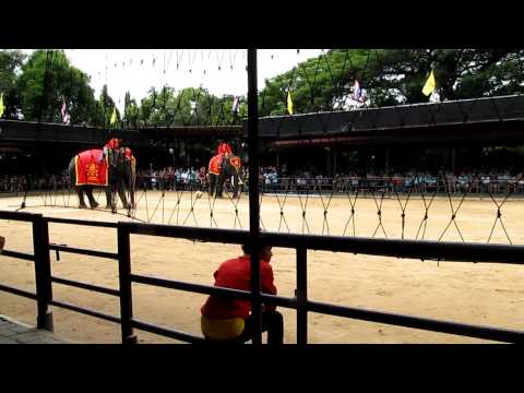 IOI 2011 - The Elephant Show - Football