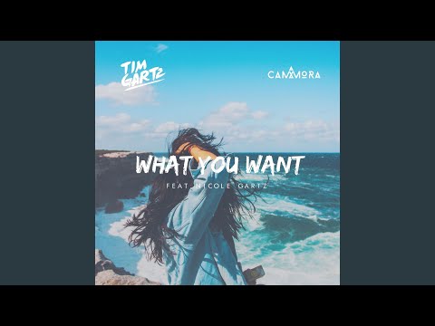 What You Want (feat. Nicole Gartz)
