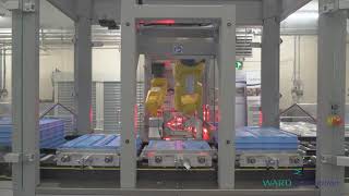 Sample of Robotics at Ward Automation