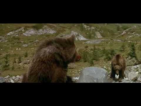 L'Ours (1988) - the cougar scene