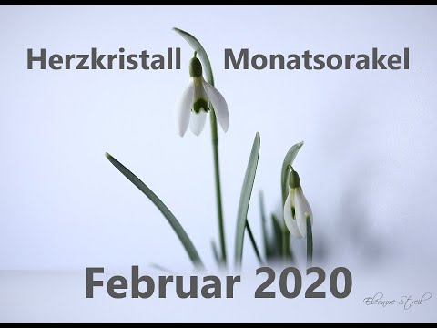 Monatsorakel Februar 2020 - Nur ein leerer Kelch kann gefüllt werden! !