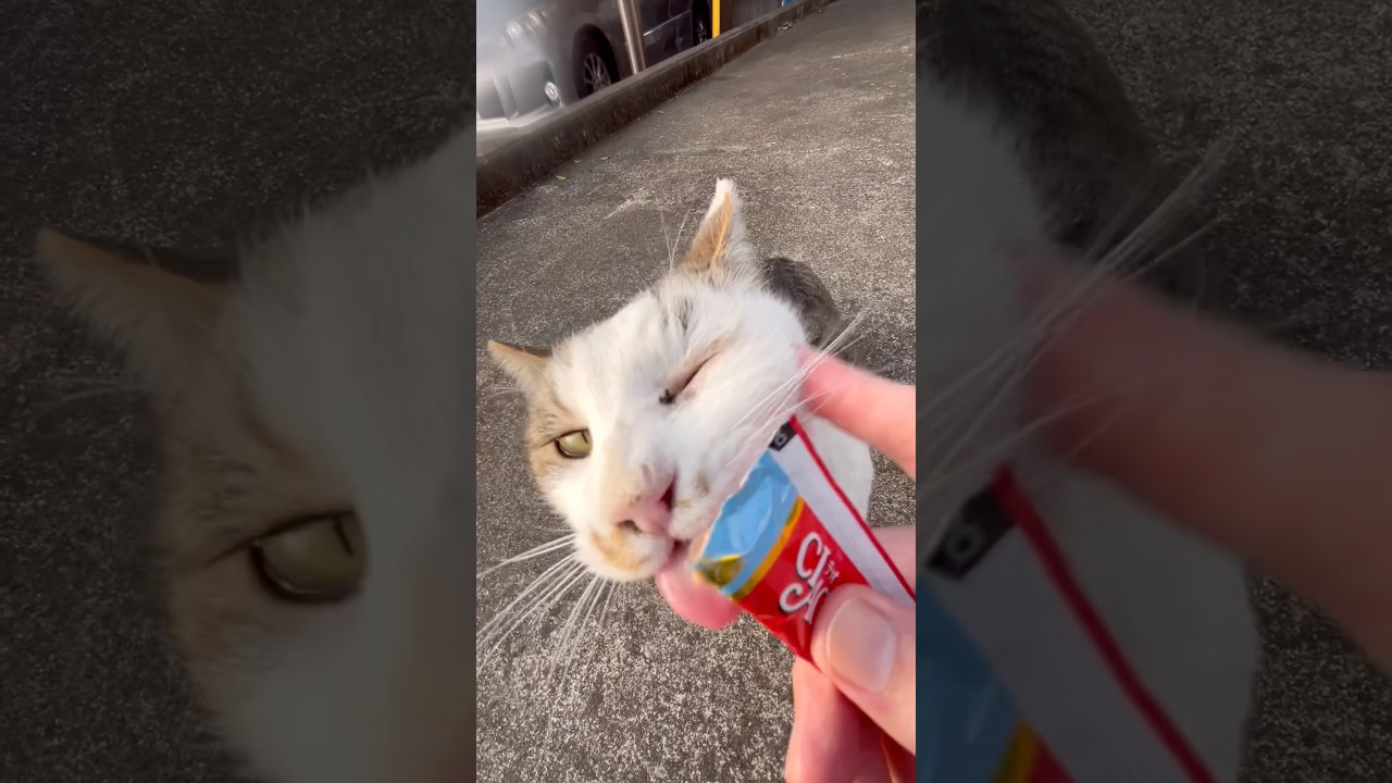 アンバランスなキスをする、わたる君#キス#痛い