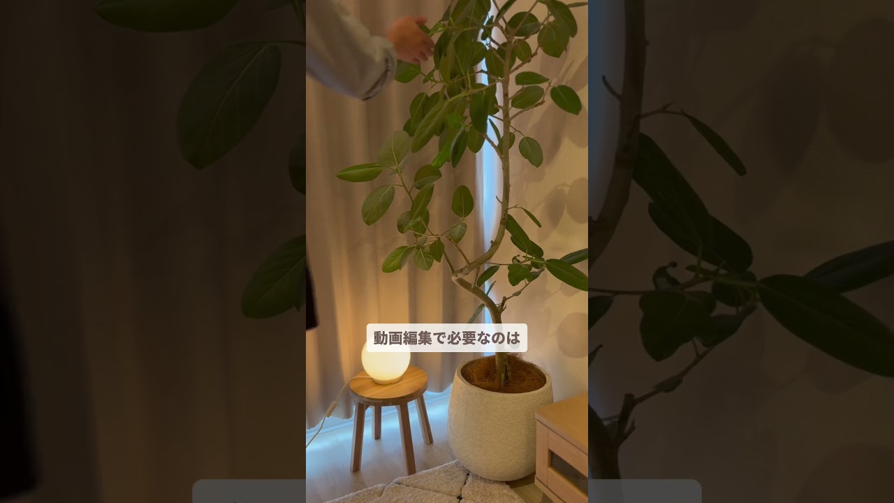 詳しくは説明欄に書きました！ #Filmora #フィモーラ#動画編集 #shorts