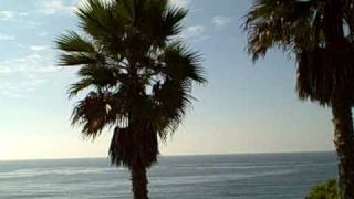 preview picture of video 'A Video Tour of Grandview Beach in Leucadia (Encinitas) CA'
