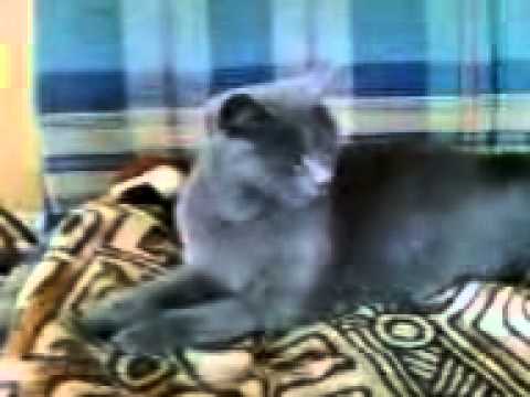 23 lipca 2011 4:36 PM