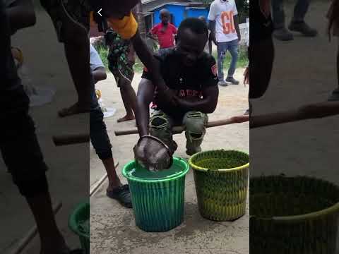 African man punished stealing #african #thief #stealing #punishment #africa #karma #trendingreels