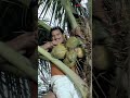 Sasi Yells At Jagathy For Speaking Nonsense Doctorinnocentanu Shorts Innocent Sonanair Likes