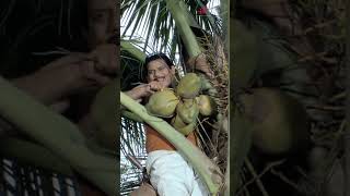 Download lagu Sasi yells at Jagathy for speaking nonsense #doctorinnocentanu #shorts #innocent #sonanair #likes mp3