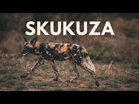 Ep. 6 | Kruger National Park - SKUKUZA in Summer
