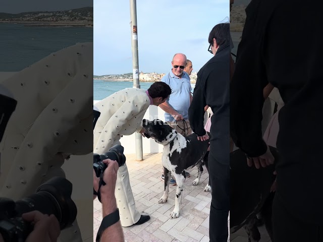 Vídeo relacionado con Genérico SITGES POSTERS - Póster vintage del festival de cine de Sitges, escultura de cámara, lámina artística de cine