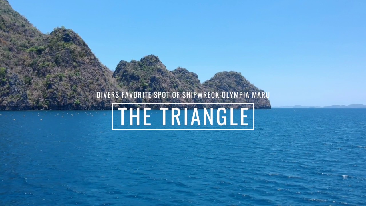 Experience the captivating visuals of shipwreck diving in Coron bay.