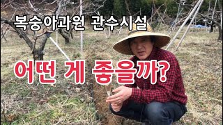 복숭아 과원 관수시설 종류와 장단점
