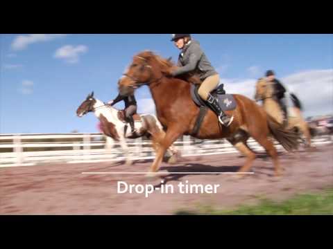 Lefdals Rideskole fergereklame