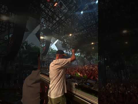 Adam Port at Green Valley in Brazil 🔥 magical sunrise 🌅 🇧🇷 #adamport #brazil #m83 #sunrise #fyp