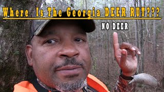Where is the Georgia DEER RUT