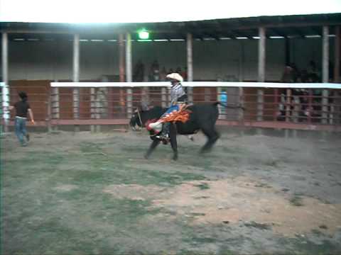 Michael Luna VS El Carpa