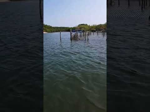 estamos vicitando el restaurante el tular en la bahía de Jiquilisco usulutan ElSalvador