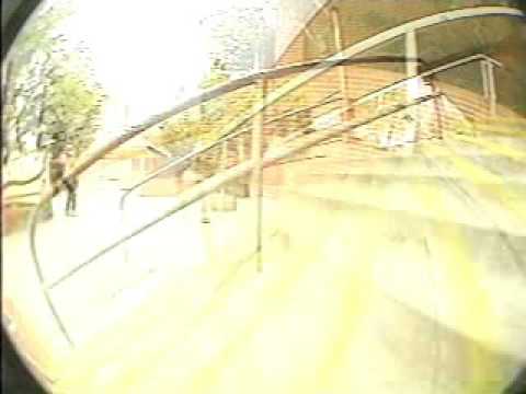 Paul Rodriguez - In Bloom