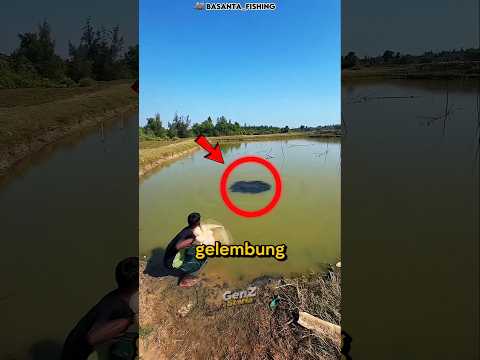 Gelembung aneh tengah danau 😱