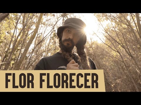 Lion Nativo - Flor Florecer VIDEOCLIP