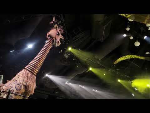 [4K] Hong Kong Disneyland, Festival of The Lion King - Part 6