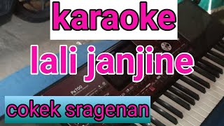 Download lagu Karaoke cokek lali janjine#lali janjine versi cokek sragenan tanpa vokal mp3