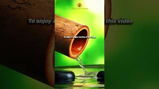 Download lagu https://www.youtube.com/watch?v=af1Vm2yUvTg mp3